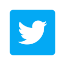 Button Icon
